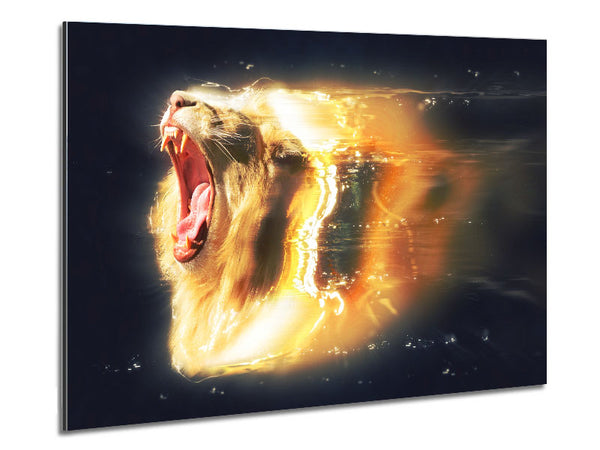 Lion roaring light Metal Print