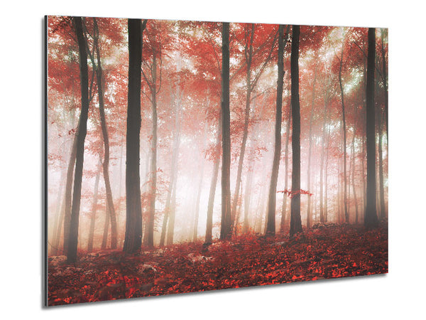 Red misty woods Metal Print