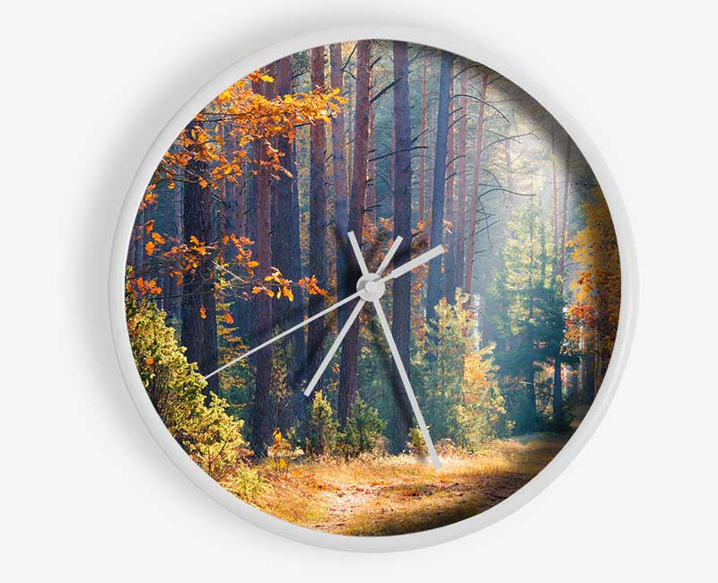 Forest of tall trees Clock - Wallart-Direct UK