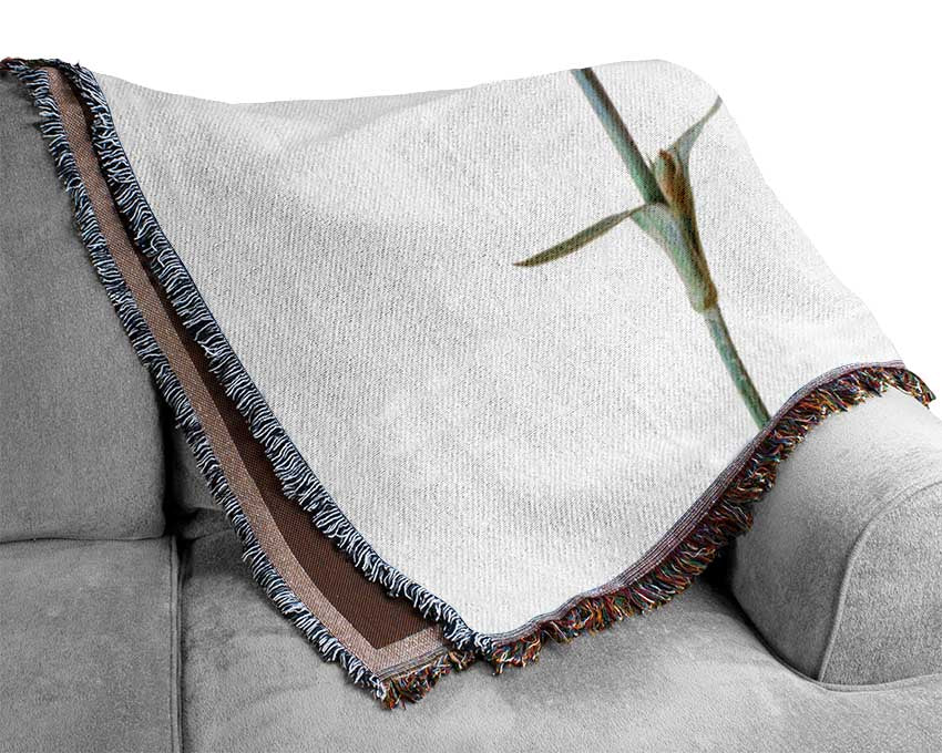 Pink flowers standing up Woven Blanket