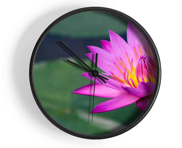 Lotus flower up close pink Clock - Wallart-Direct UK