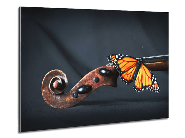 Schmetterling ruht auf Instrument