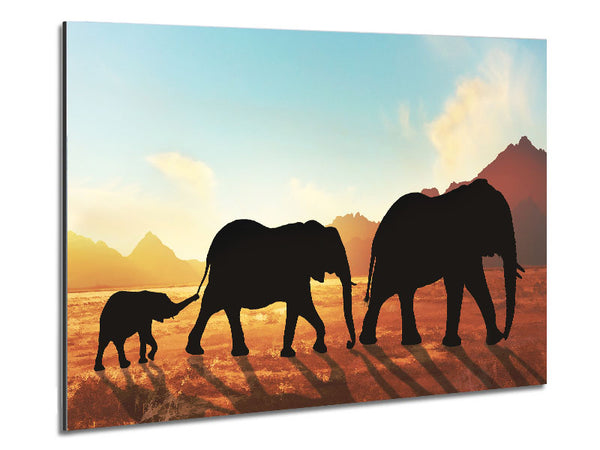 Elephants sillouette walking Metal Print