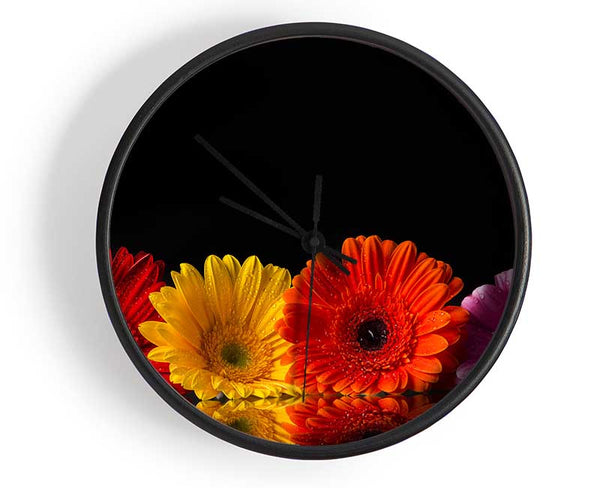 Multi coloured gerberas Clock - Wallart-Direct UK