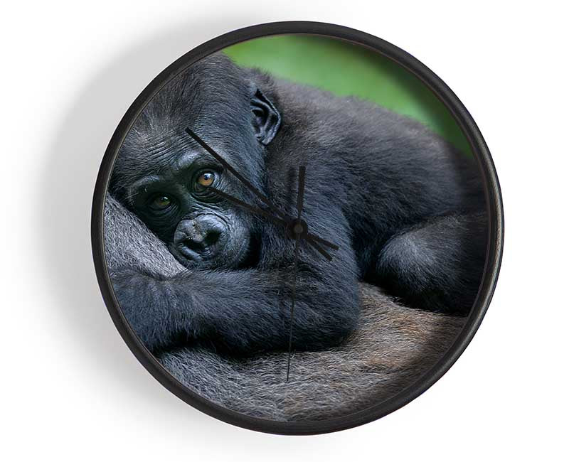Baby gorilla Holding on Clock - Wallart-Direct UK