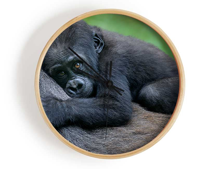 Baby gorilla Holding on Clock - Wallart-Direct UK