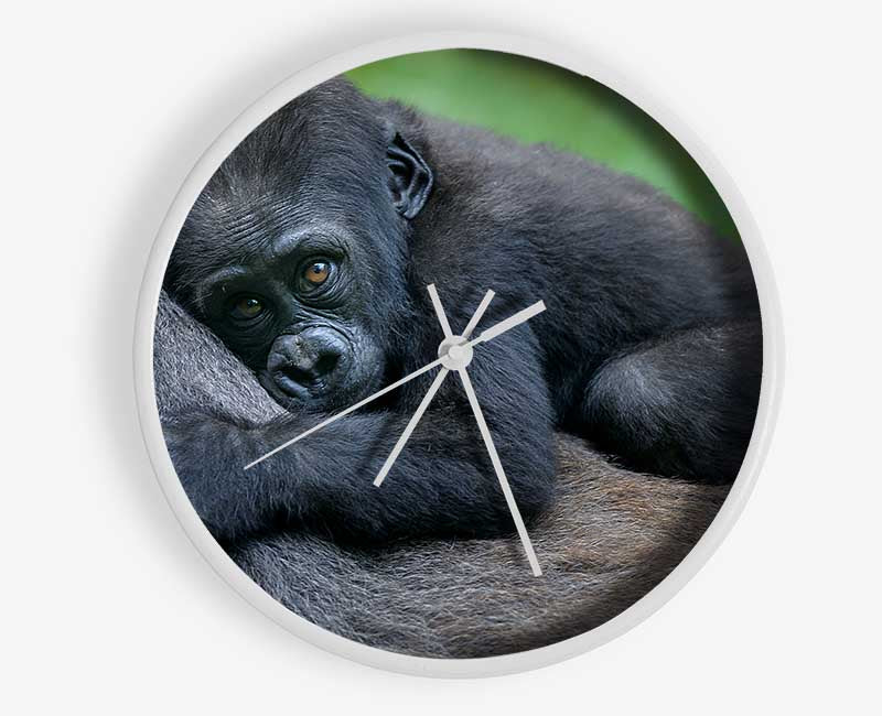 Baby gorilla Holding on Clock - Wallart-Direct UK