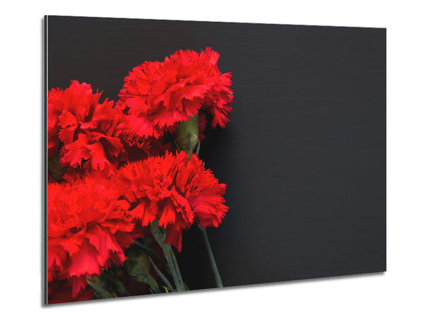Red flowers dark background