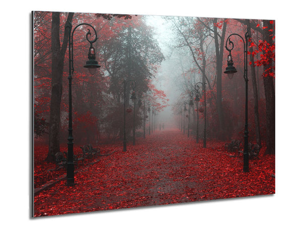 Red Autumn leaves streetlights Metal Print
