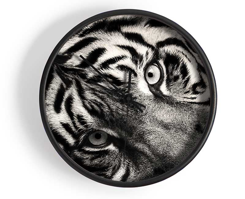 Up close tiger lying down Clock - Wallart-Direct UK