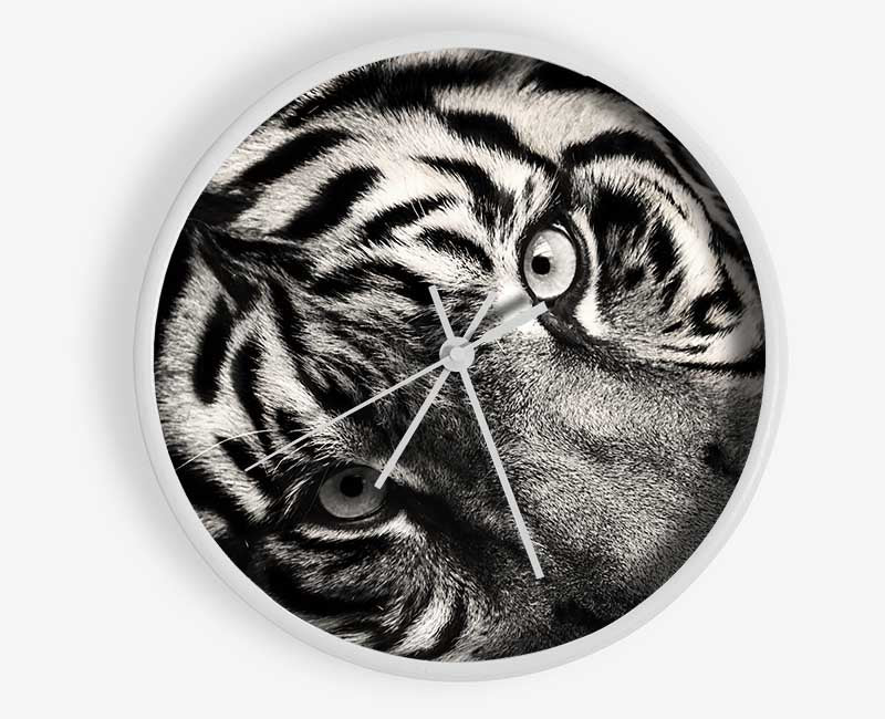 Up close tiger lying down Clock - Wallart-Direct UK