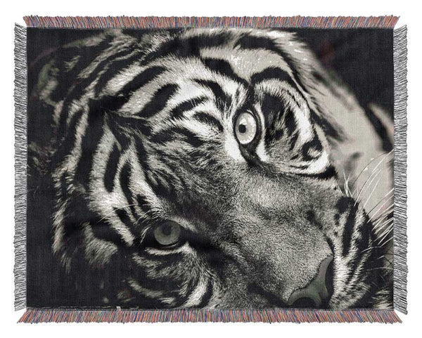 Up close tiger lying down Woven Blanket