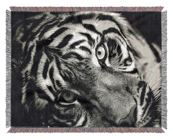 Up close tiger lying down Woven Blanket
