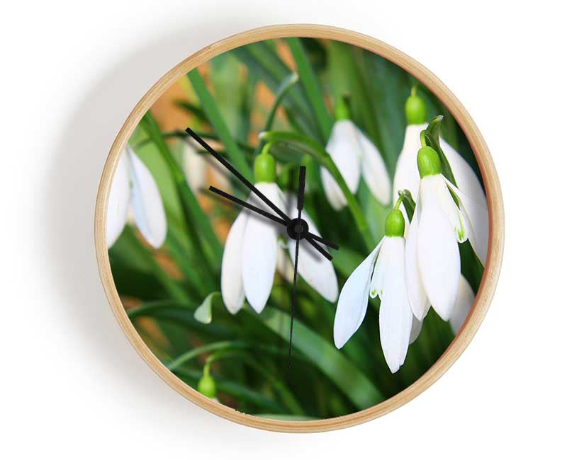 White snowdrops falling down Clock - Wallart-Direct UK