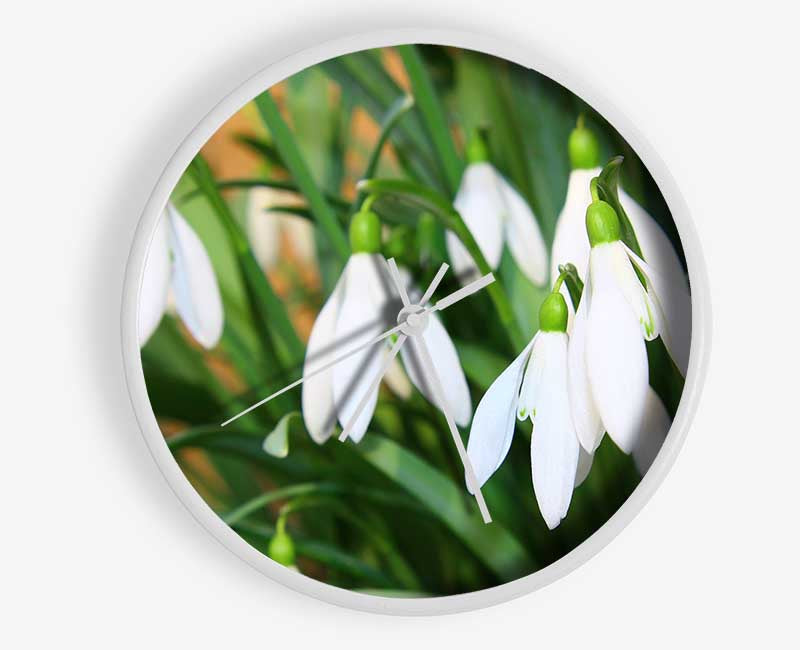 White snowdrops falling down Clock - Wallart-Direct UK