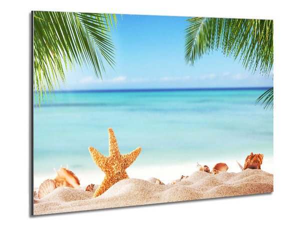 Starfish on the beach scene Metal Print