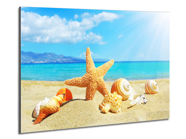 Starfish standing in the sand Metal Print