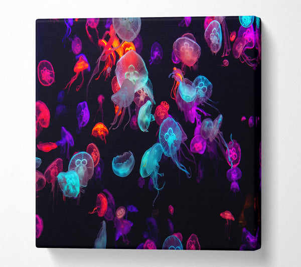 A Square Canvas Print Showing Neon Jellyfish frenzy Square Wall Art