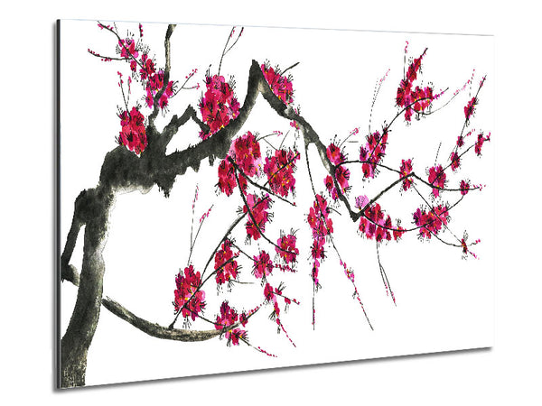 Kirschblütenillustration