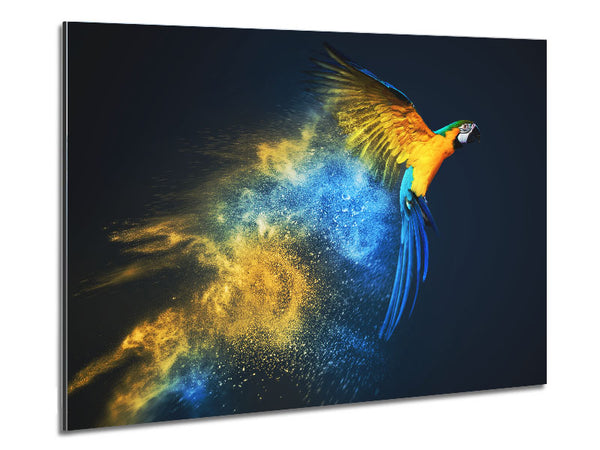 powder parrot take off Metal Print