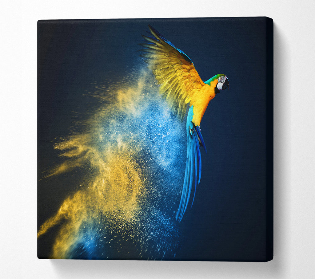 A Square Canvas Print Showing powder parrot take off Square Wall Art