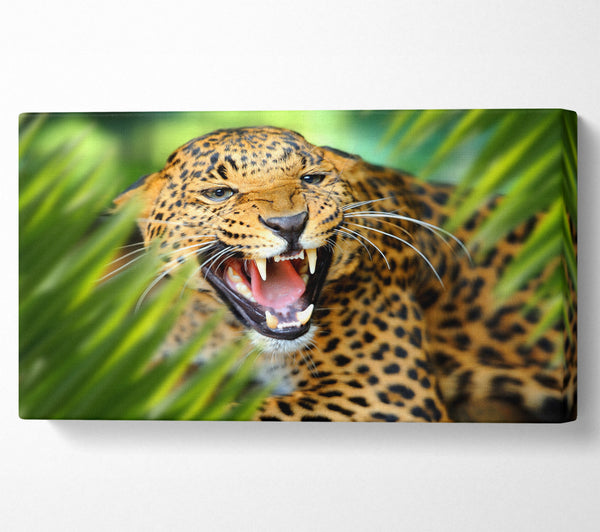 Wilder Leopard im Gras