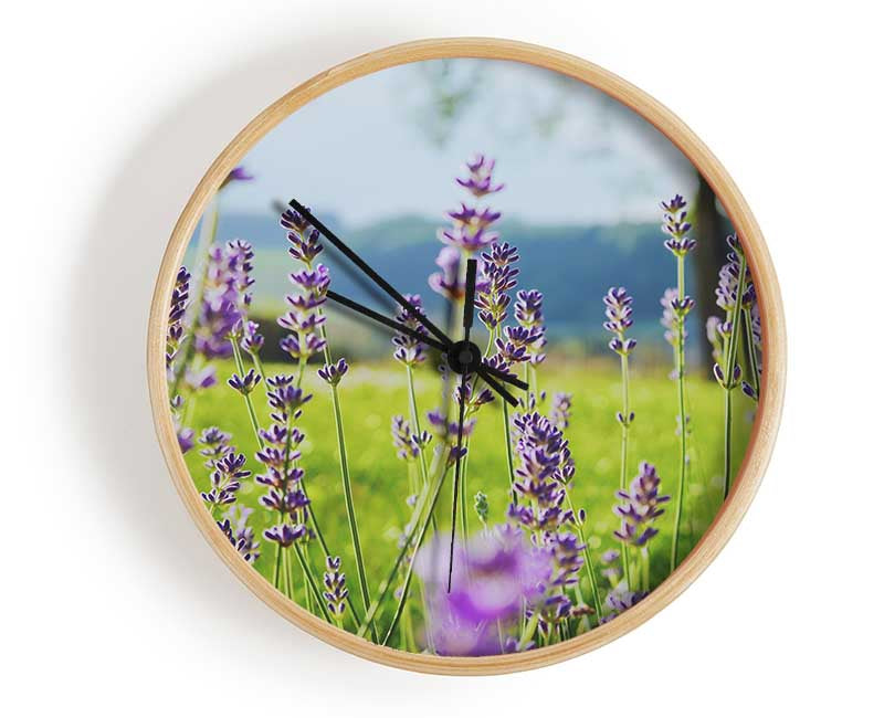 Tiny flowers suspended above the grass Clock - Wallart-Direct UK