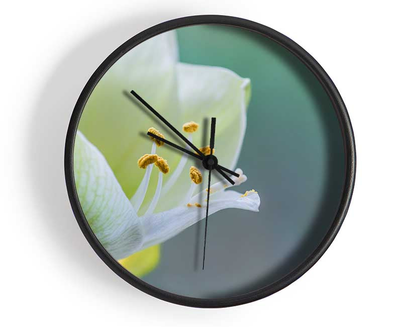 White flower with pollen Clock - Wallart-Direct UK