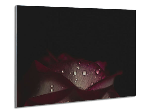 Wassertropfen fallen von einer Blume