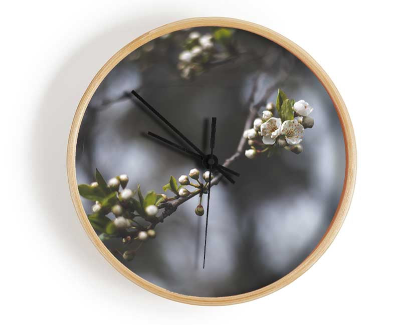 White blossom tree in soft focus Clock - Wallart-Direct UK