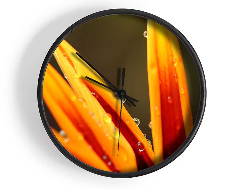 Water droplets on a yellow flower Clock - Wallart-Direct UK