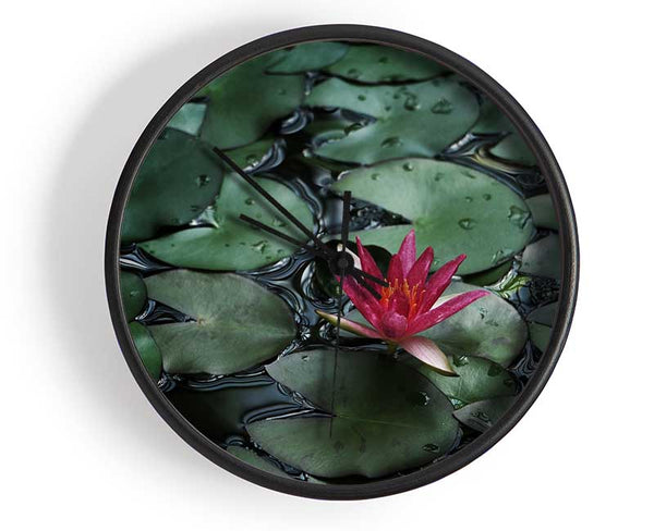 Lotus peering above the lilly pads Clock - Wallart-Direct UK