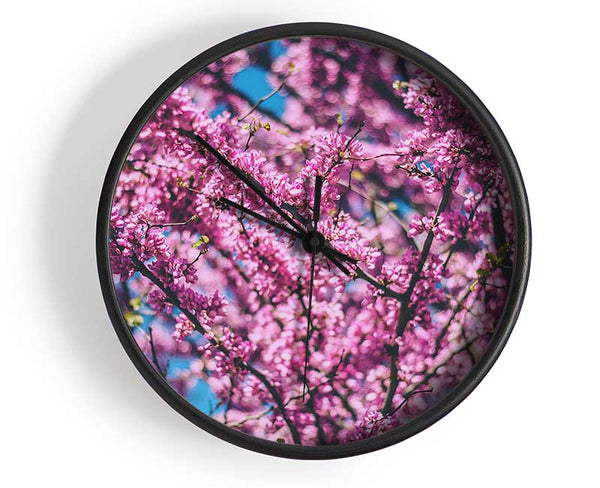 tree blossom flowers on a blue sky Clock - Wallart-Direct UK