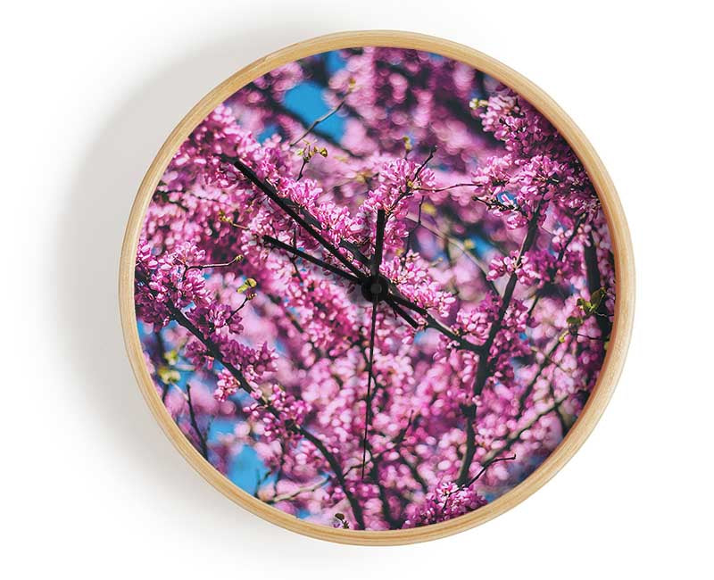 tree blossom flowers on a blue sky Clock - Wallart-Direct UK