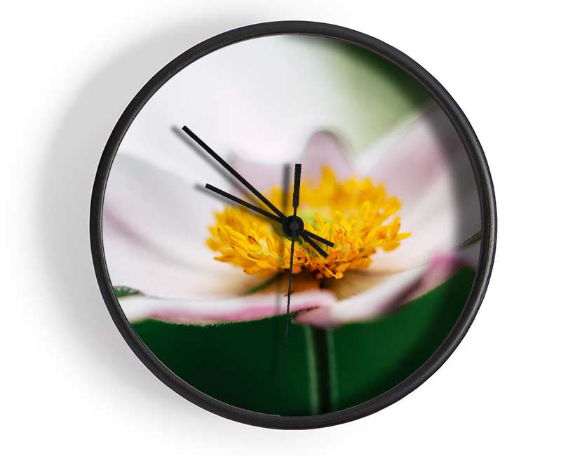 Landing pad flower Clock - Wallart-Direct UK