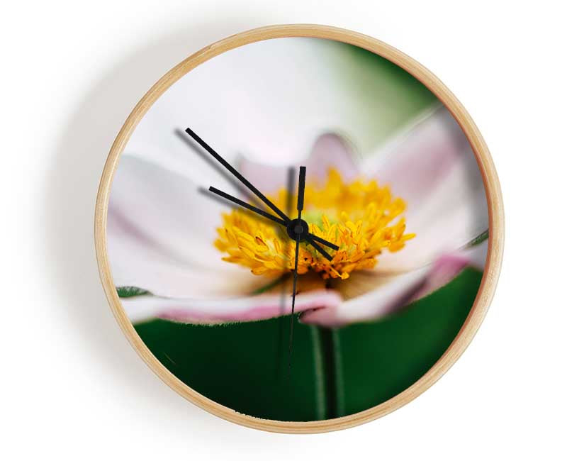 Landing pad flower Clock - Wallart-Direct UK