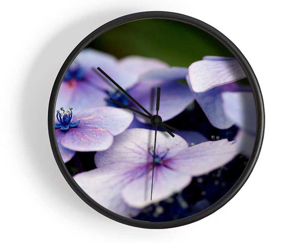 Flat purple flowers Clock - Wallart-Direct UK