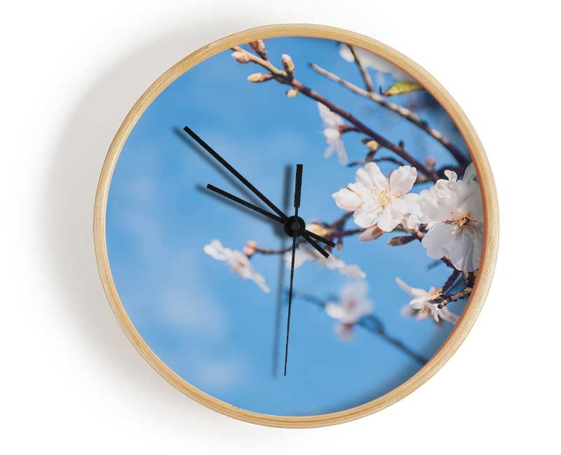 White blossom flowers  off a branch Clock - Wallart-Direct UK