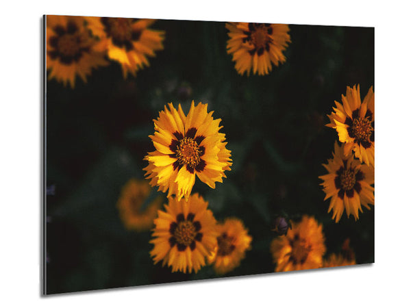 Gelbe Blumen im Dunkeln 
