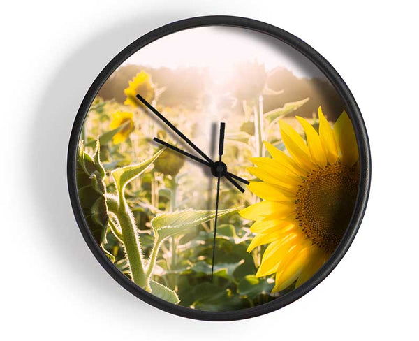 Sunflowers standing tall Clock - Wallart-Direct UK