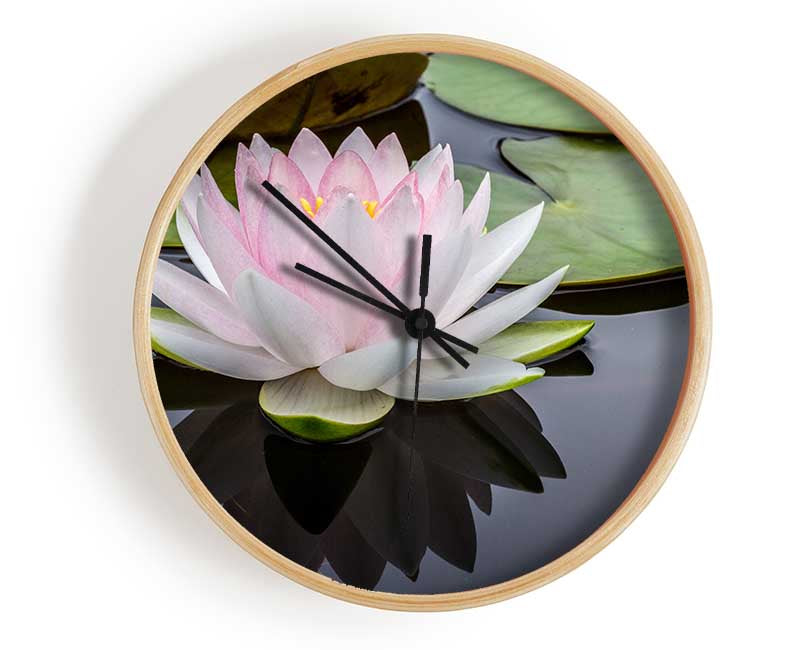 Pond plant floating on the lake Clock - Wallart-Direct UK
