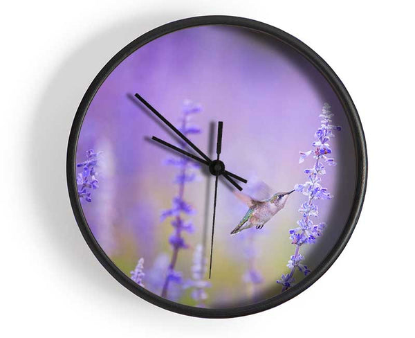 Humming bird feeding time Clock - Wallart-Direct UK