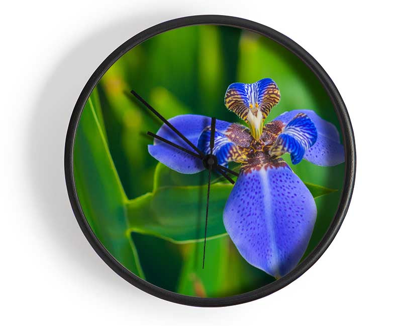 Tiny blue flower in shot Clock - Wallart-Direct UK