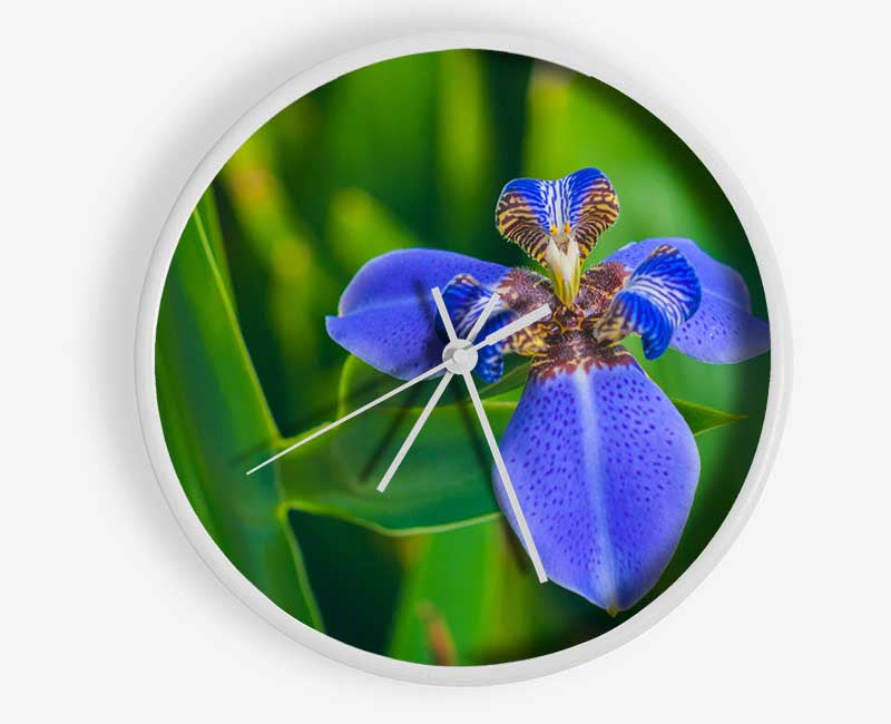 Tiny blue flower in shot Clock - Wallart-Direct UK