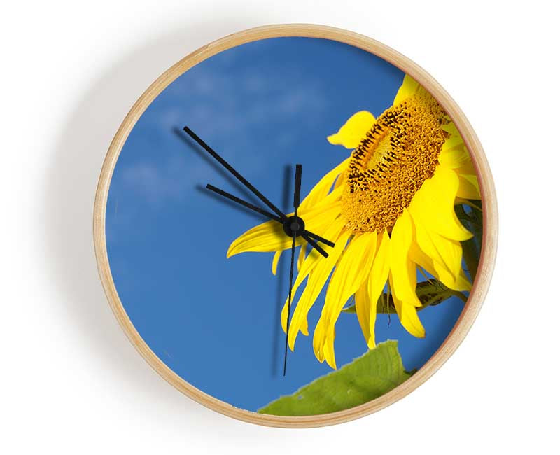 Yellow sunflower standing above the rest Clock - Wallart-Direct UK