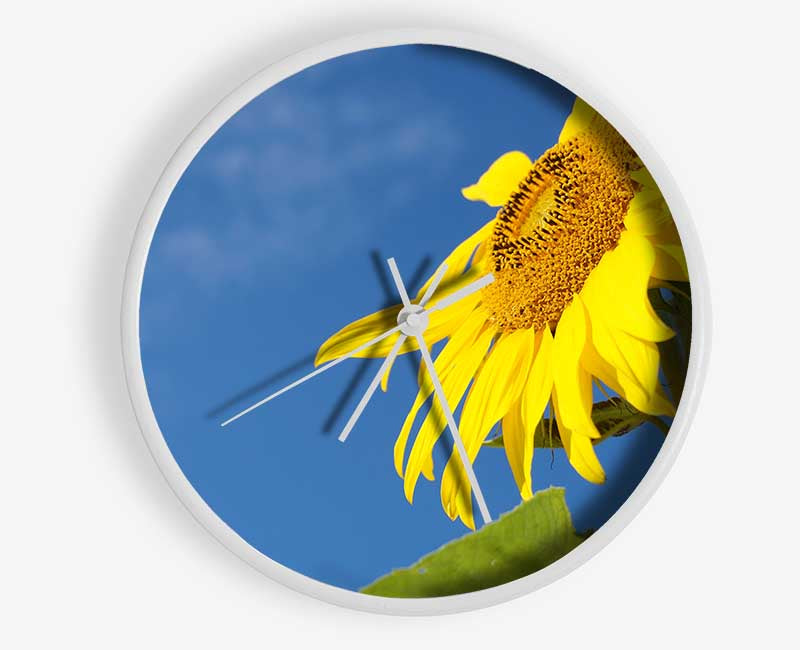 Yellow sunflower standing above the rest Clock - Wallart-Direct UK
