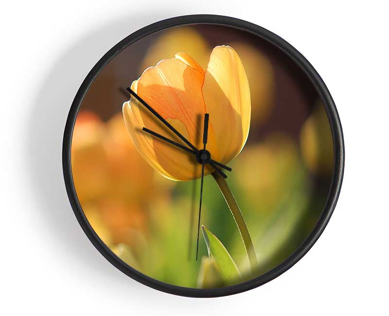Yellow tulip in the spring Clock - Wallart-Direct UK