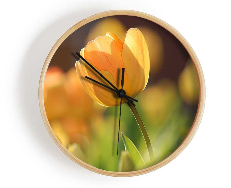 Yellow tulip in the spring Clock - Wallart-Direct UK