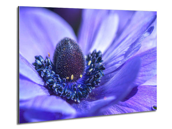 Purple flower inside detail