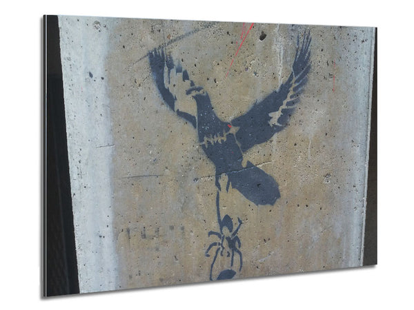 Taube fliegt mit Spinne davon